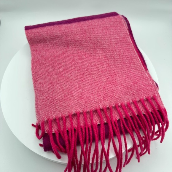 Ann Taylor Accessories - Ann Taylor Cashmere Scarf Long Pink Ombre Color Block Stripe Winter Quiet Luxury